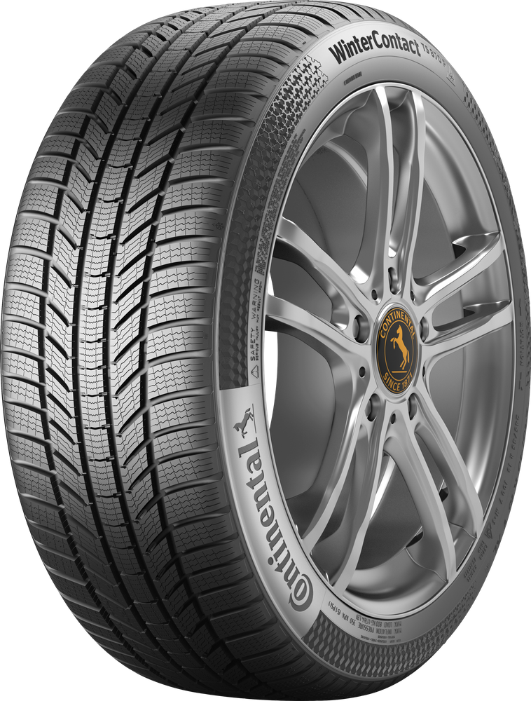 225/65 R17 102T FR WinterContact TS 870 P